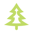Conifer, Green, Tree Icon