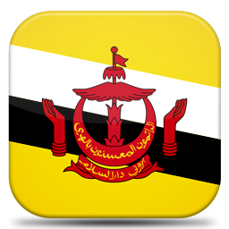 Brunei Icon