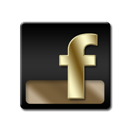 Facebook, Gold Icon