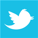 Bird, Metro, Twitter Icon
