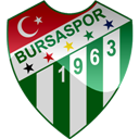 Bursaspor Icon