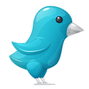 Bird, Plastic, Twitter Icon