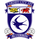 Cardiff, City Icon