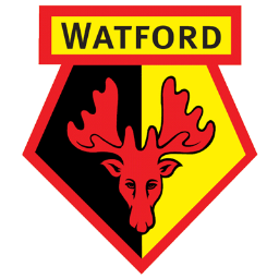 Fc, Watford Icon