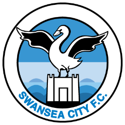 City, Swansea Icon