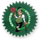Celtics, Logo Icon
