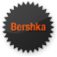 Bershka Icon