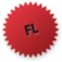 Flash, Logo Icon