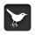 Bird, Square, Twitter Icon