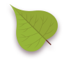 Green, Leaf Icon