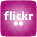 Flickr Icon