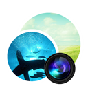 Photodupicator Icon