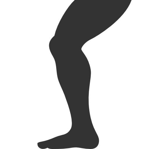 Leg Icon
