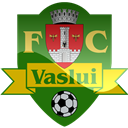 Logo, Vaslui Icon