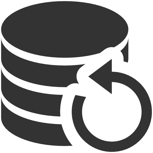 Backup, Data Icon