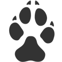 Dog, Paw Icon