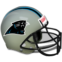 Panthers Icon