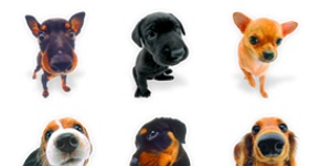 Dogs N Puppies Icons