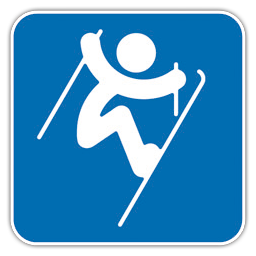 Aerials, Freestyle, Icon, Skiing Icon