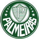 Palmeiras Icon