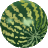 Melon, Water Icon