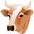 Cow, Head Icon
