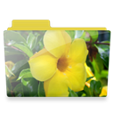 Flower, Folder Icon