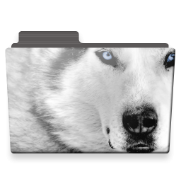 Folder, Wolf Icon