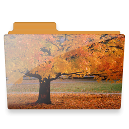 Folder, Tree Icon