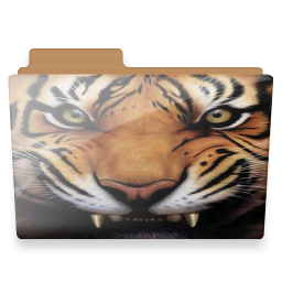 Folder, Tiger Icon