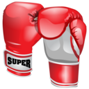 Boxing, Gloves Icon