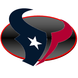 Texans Icon