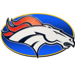 Broncos Icon