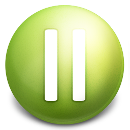 Pause Icon