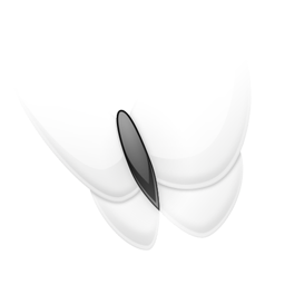 Msn, Papillon Icon