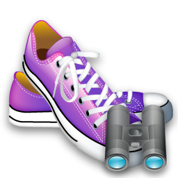 Search, Shoes Icon