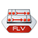Flash, Flv Icon