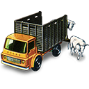 Cattle, Truck, With Icon