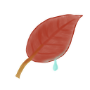 Ak, Leaf Icon