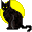 Black, Cat Icon