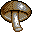 Battle, Mushroom, Shiitake Icon