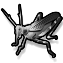 Grasshopper Icon