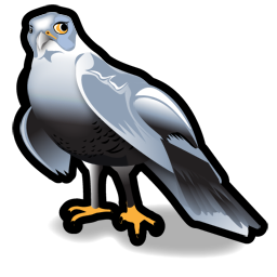 Hawk Icon