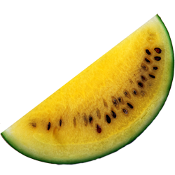 Watermelon, Yellow Icon