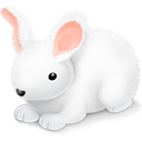 Icon, Rabbit Icon