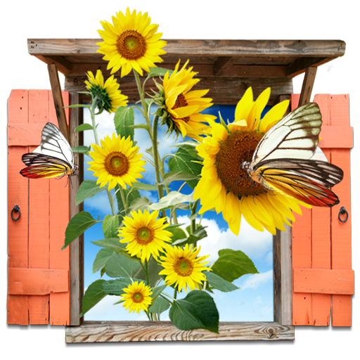 Flowers, Sunflowers, Window Icon