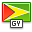 Flag, Guyana Icon