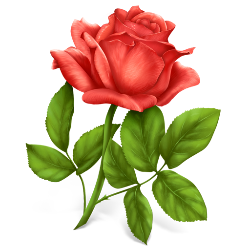 Flower, Plant, Rose Icon