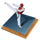 Px, Taekwondo Icon