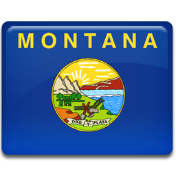 Flag, Montana Icon